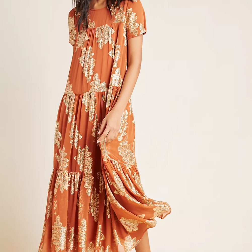 Anthropologie Rust and Cream Maxi Dress